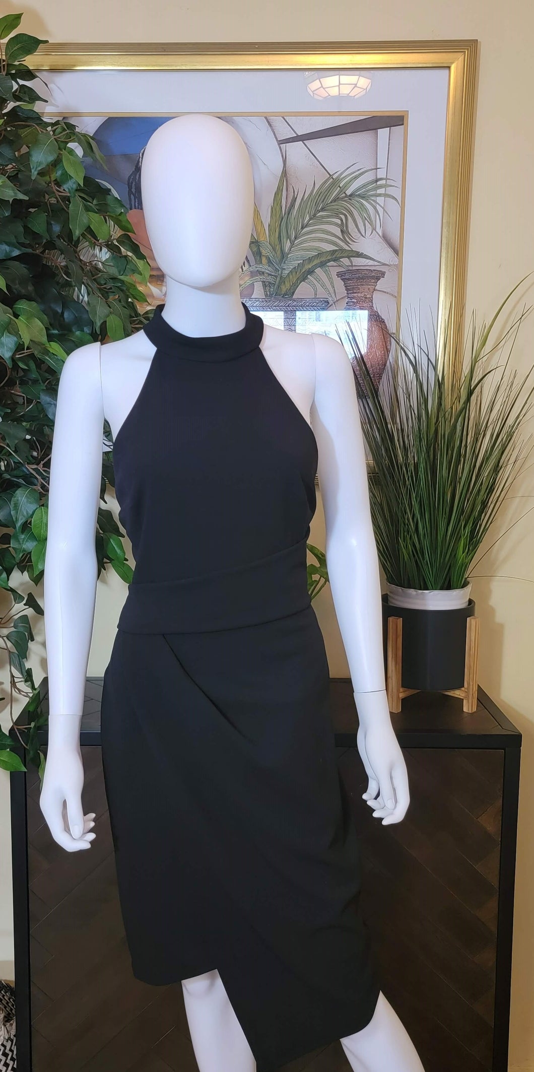 Designer Black Dress (Betsy Adams)