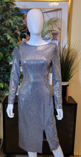 Load image into Gallery viewer, Metallic Silver Sequin Dress
